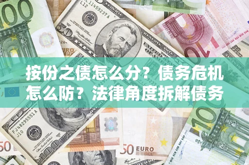 武汉按份之债怎么分？债务危机怎么防？法律角度拆解债务分配与风险自保指南