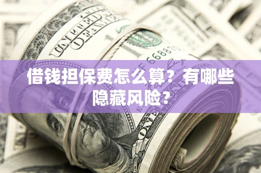 武汉借钱担保费怎么算？有哪些隐藏风险？
