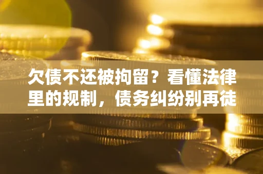 武汉欠债不还被拘留？看懂法律里的规制，债务纠纷别再徒劳奔波