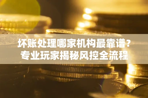 武汉坏账处理哪家机构最靠谱？专业玩家揭秘风控全流程