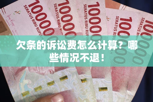 武汉欠条的诉讼费怎么计算？哪些情况不退！