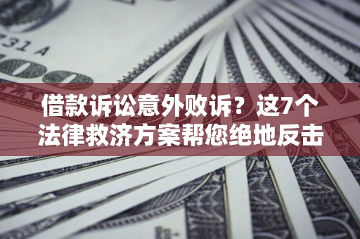 武汉借款诉讼意外败诉？这7个法律救济方案帮您绝地反击！