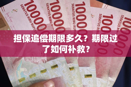 武汉担保追偿期限多久？期限过了如何补救？