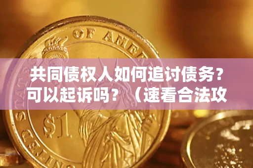 武汉共同债权人如何追讨债务？可以起诉吗？（速看合法攻略）