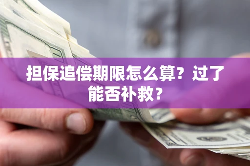 武汉担保追偿期限怎么算？过了能否补救？